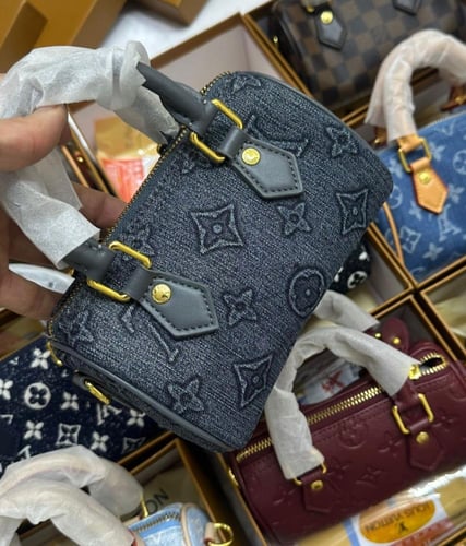 شنطه ماركه لويس فيتون صغير