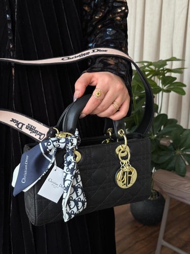 شنطه ماركه ديور ماستر