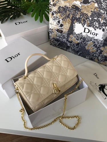 شنطه ماركه ديور