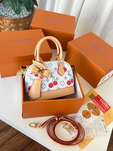 شنطه ماركه لويس فيتون ميني