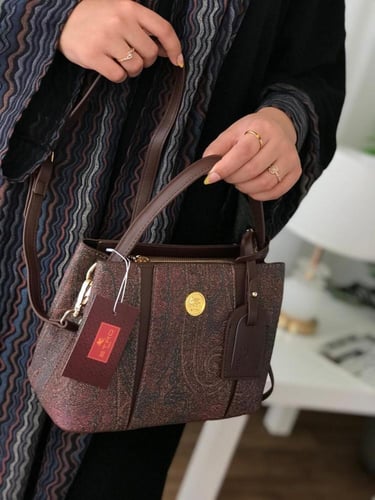 شنطه ماركه ايترو