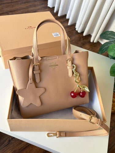 شنطه ماركه كوتش