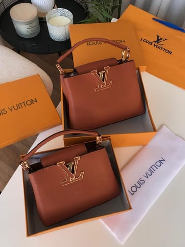 شنطة لويس فيتون