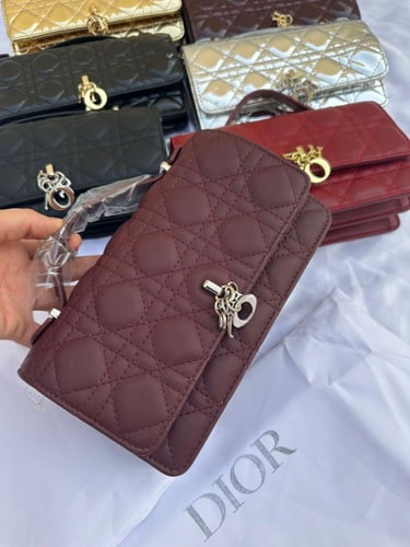 شنطه ماركه ديور