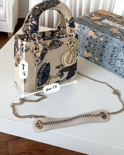 شنطه ماركه ديور فراشات ماستر كواليتي