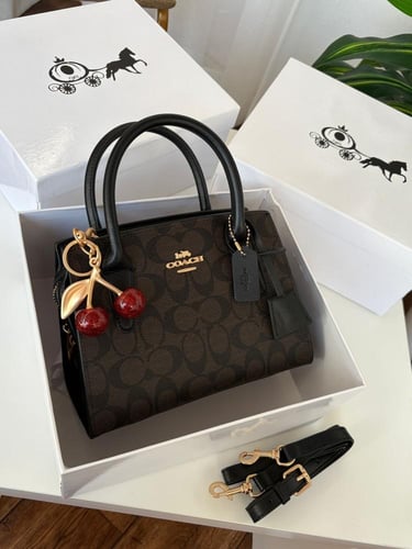 شنطه ماركه كوتش