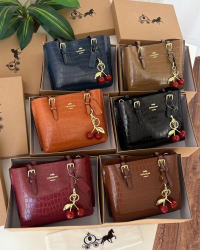 شنط ماركه كوتش جلد