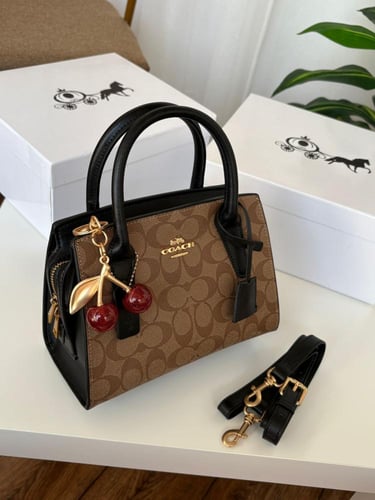 شنطه ماركه كوتش