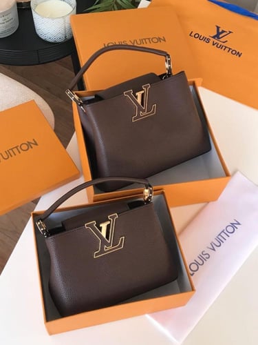 شنطة لويس فيتون