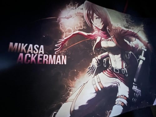 ماوس باد ميكاسا اكرمان - انمي هجوم العمالقة