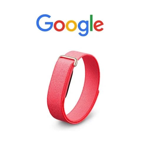Google Fitbit Air