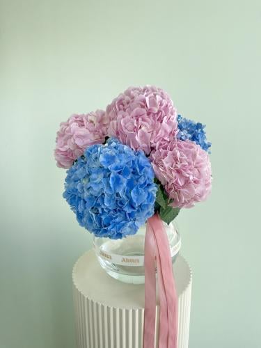 فازة الهايدرنجا الملونه