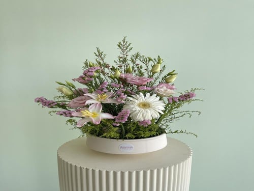 الفازة الأنيقة