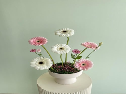 فازة ورد الجربيرا