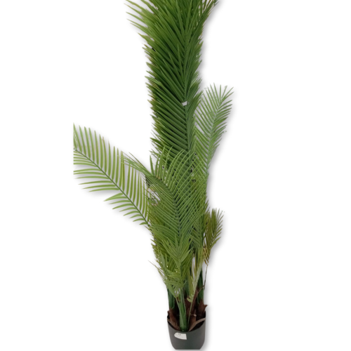 شجره نخل 1.8 م 38