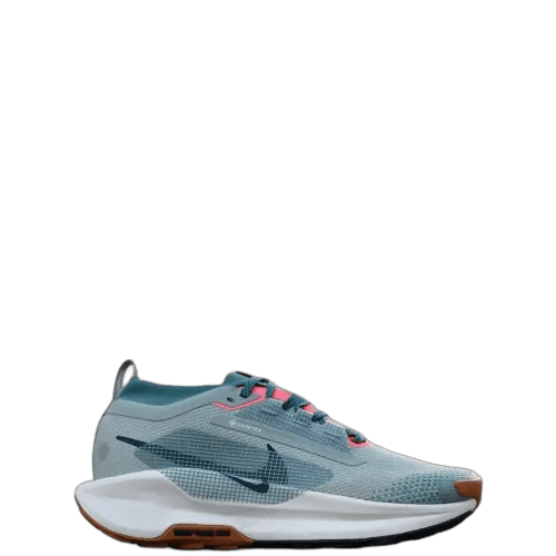Nike Pegasus Trail 5