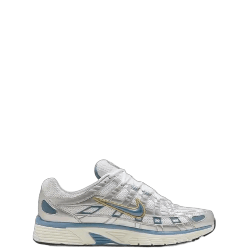 NikeP-6000