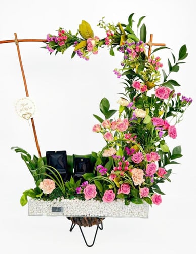 فازة جرين غراسي غلوري