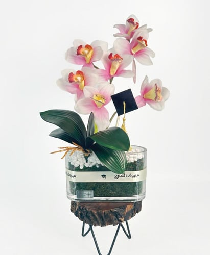 فازة إيفورا مع قبعة التخرج