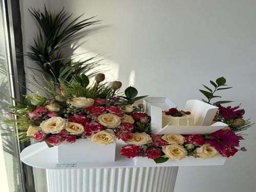 كيك كانديرا | تاتش أوف ناتشر آند ديلايت