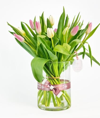 فازة التوليب