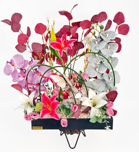 وودن وندر ويلز