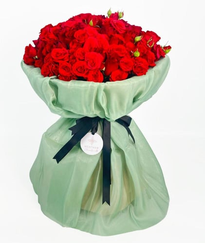 بيبي جوري أحمر | قماش مخمل