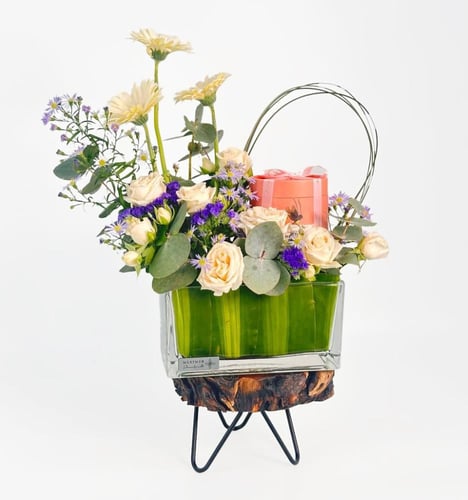 شوكولاته انوش | جوري جالاكسي جراسي