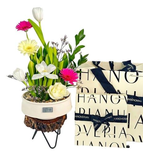 شوكولاته هنوفيرين | فازة سيرين سيركل