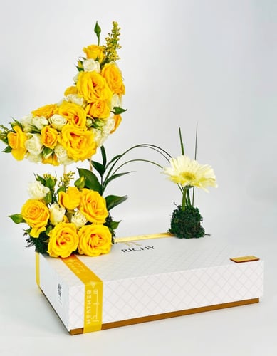 9705 قماش ريتشي | فلوميتشيوس بريزنتو