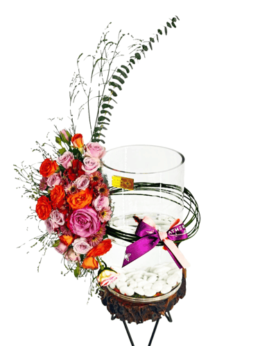 فازة السمك | رومانتيك روزيت