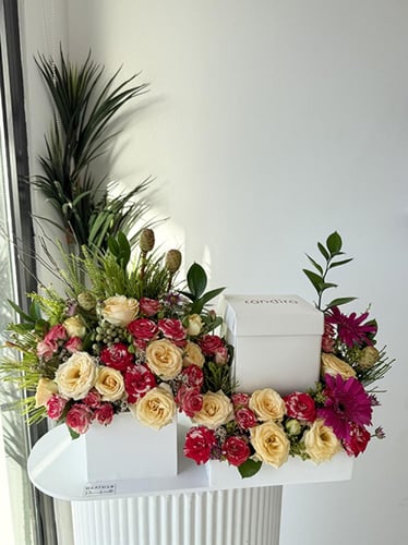 كيك كانديرا | تاتش أوف ناتشر آند ديلايت