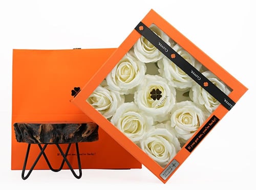 Signature White Rose