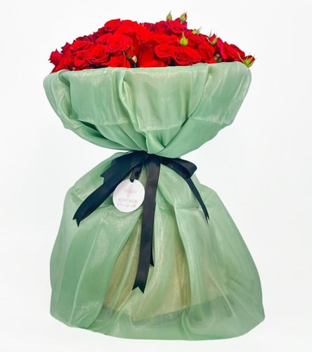 بيبي جوري أحمر | قماش مخمل