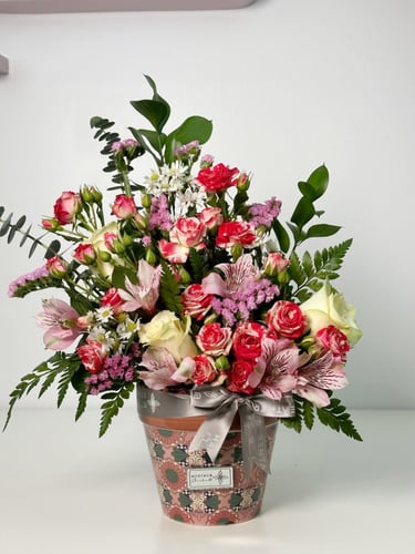 فازة نيكسيل راديانس