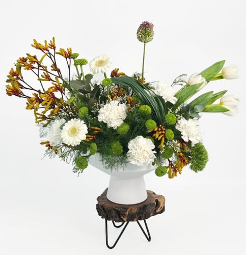 فازة وايت بلوم فانتازيا