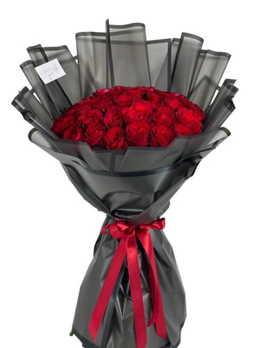 باقة ألفايرا نوكتورنا