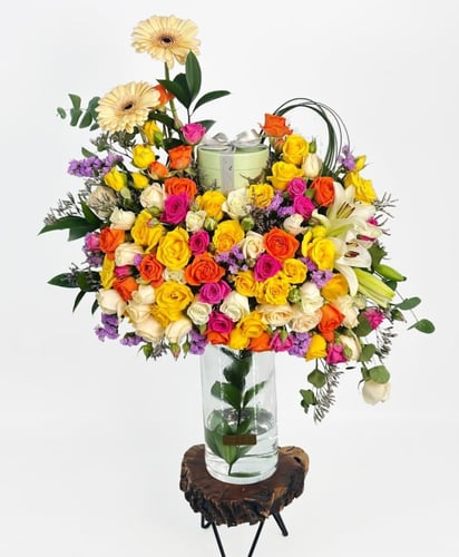 شوكولاته انوش | جلبيرا جاردن دريم