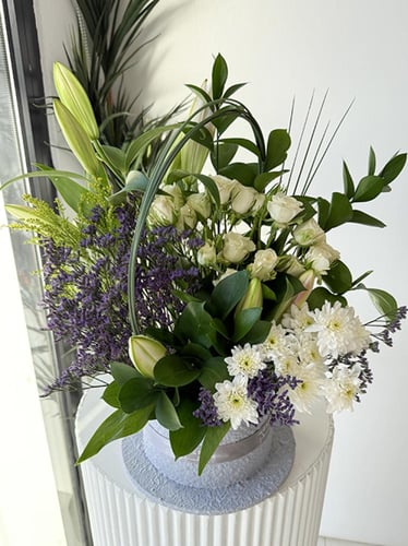 فازة سيمفونية أوف كولورفول ناتشر