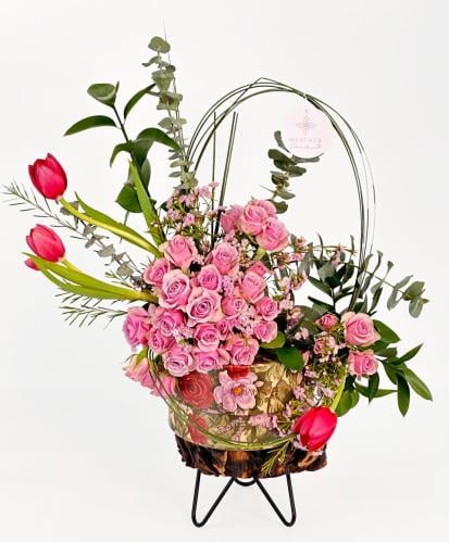 شوكولاته هنوفيرين | توليب تريجر تريت