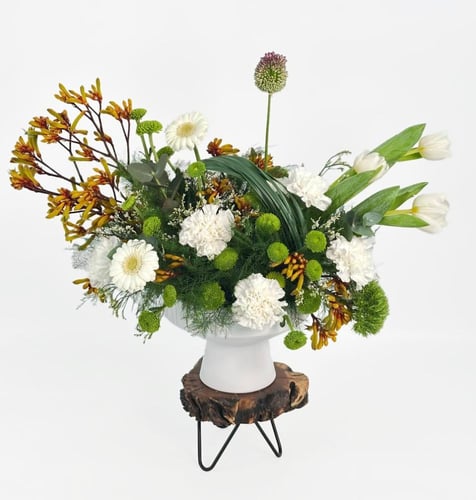 فازة وايت بلوم فانتازيا