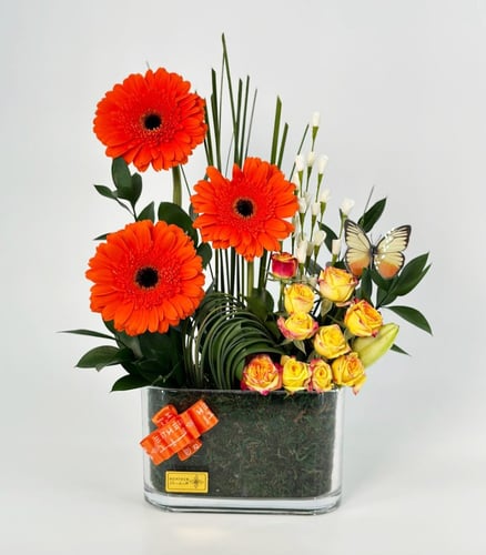 فازة جلبيراستيل