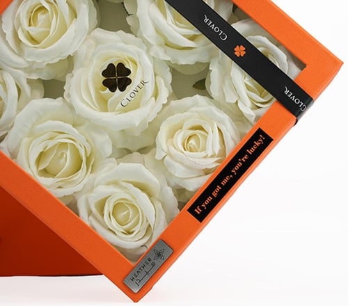 Signature White Rose