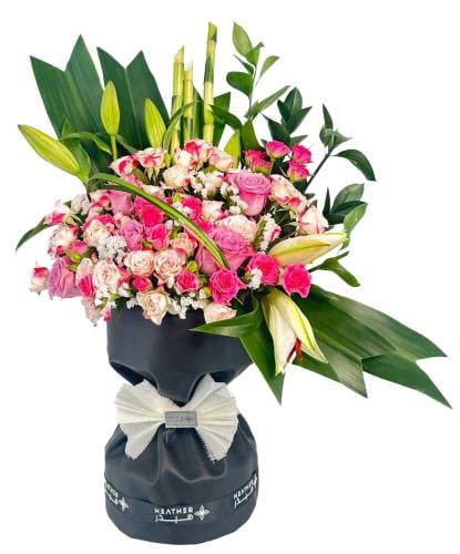 باقة أورورا سكاي