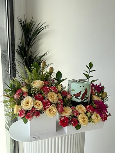 شوكولاته أنوش | أوف فايبرانت كولرز آند فليبرز