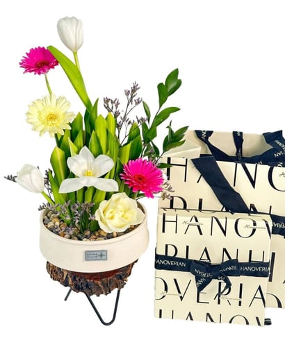 شوكولاته هنوفيرين | فازة سيرين سيركل