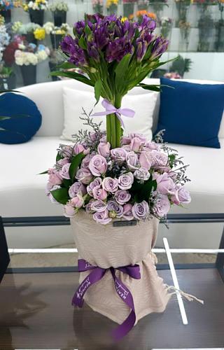 الشال الكشميري | باقة موف إيتيرنيتي