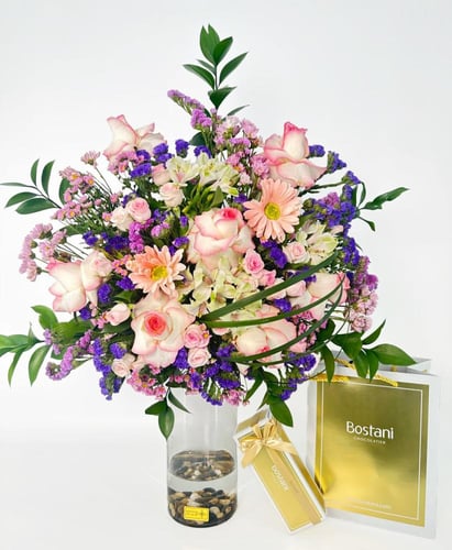 شوكلت بستاني | فازة فانيلوب جاديس