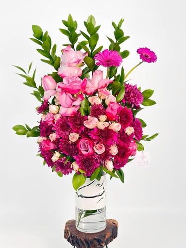 فازة فُوْشِيَ فِيْجِوْن