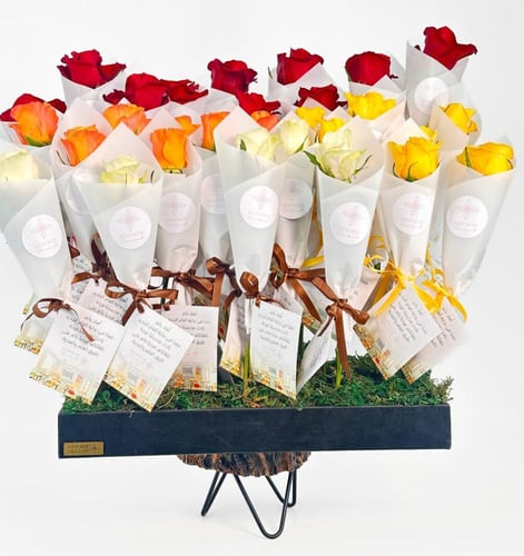 روز ريتريت ريتشنس | توزيعات ورد